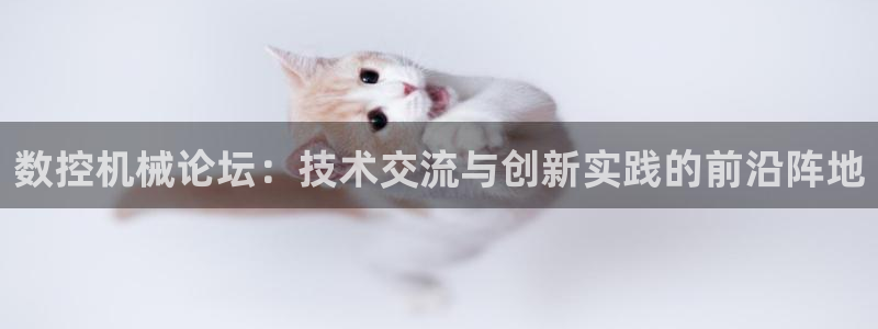 天辰娱乐酒店:数控机械论坛:技术交流与创新实践的前沿阵地