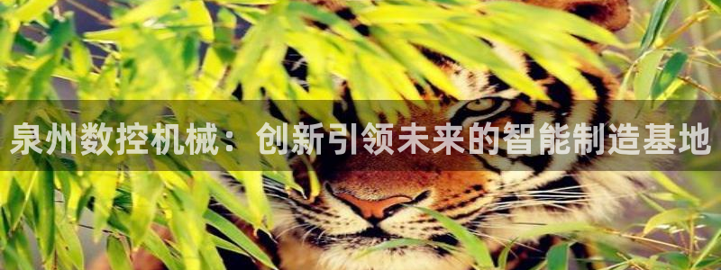 天辰娱乐 39974:泉州数控机械:创新引领未来的智能制造基地
