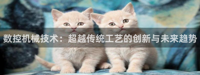 天辰娱乐官网平台下载:数控机械技术:超越传统工艺的创新与未来趋势