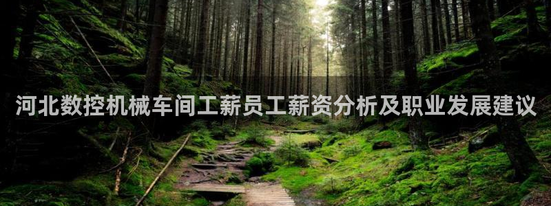 天辰娱乐728567:河北数控机械车间工薪员工薪资分析及职业发展建议