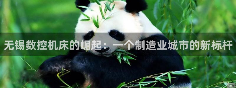 天辰注册娱乐:无锡数控机床的崛起:一个制造业城市的新标杆