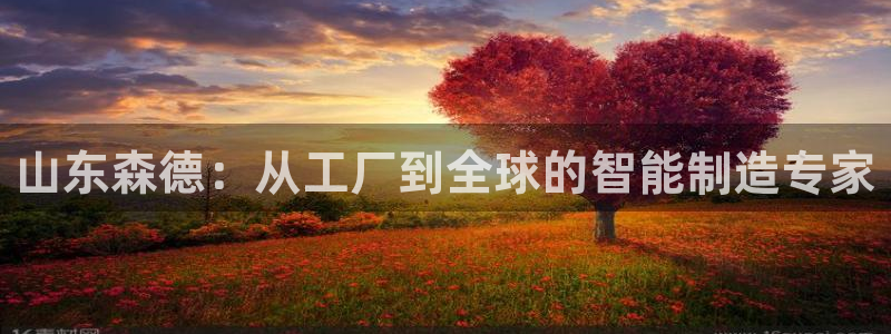 天辰水娱乐:山东森德:从工厂到全球的智能制造专家