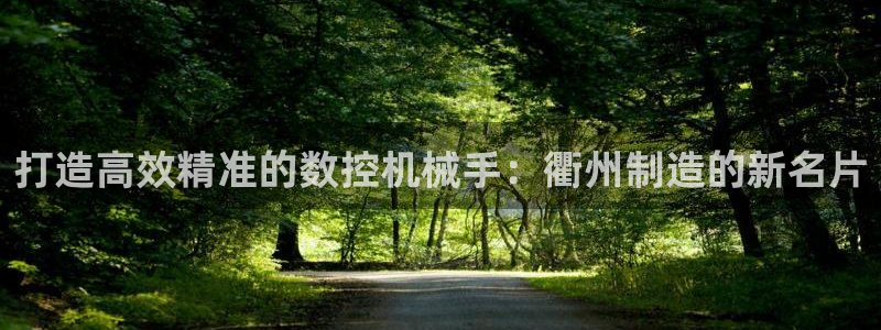 天辰娱乐软件:打造高效精准的数控机械手:衢州制造的新名片